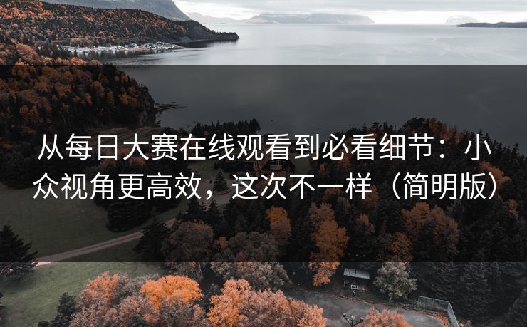 从每日大赛在线观看到必看细节：小众视角更高效，这次不一样（简明版）